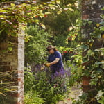 Location Creation Borde Hill Old Potting Sheds