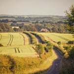 LocationCreationThe Grange Hampshiregarden