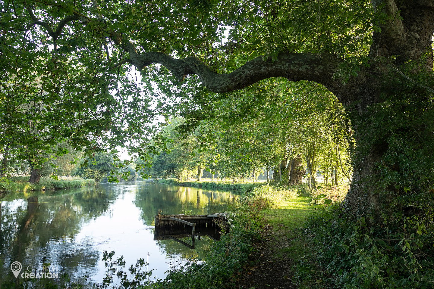 Location Creation Broadlands Estate Lake And Tree