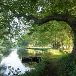 Location Creation Broadlands Estate Lake And Tree