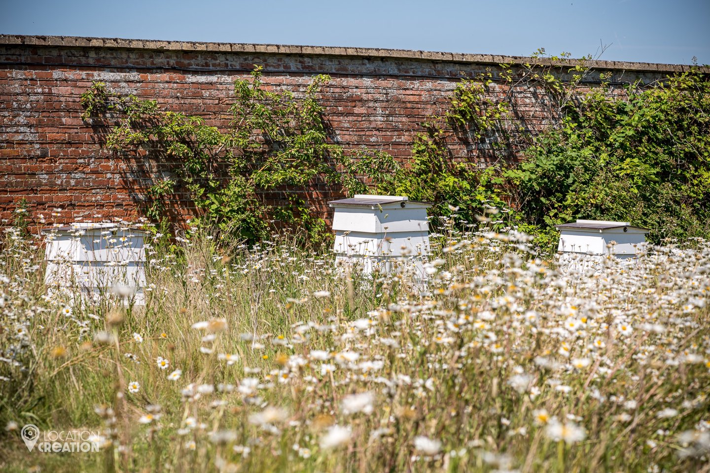 The Walled Gardenbeehives
