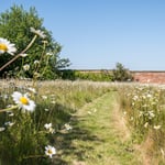 Location Creation The Walled Gardengarden