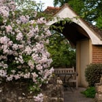 Location Creation Borde Hill Rose Garden