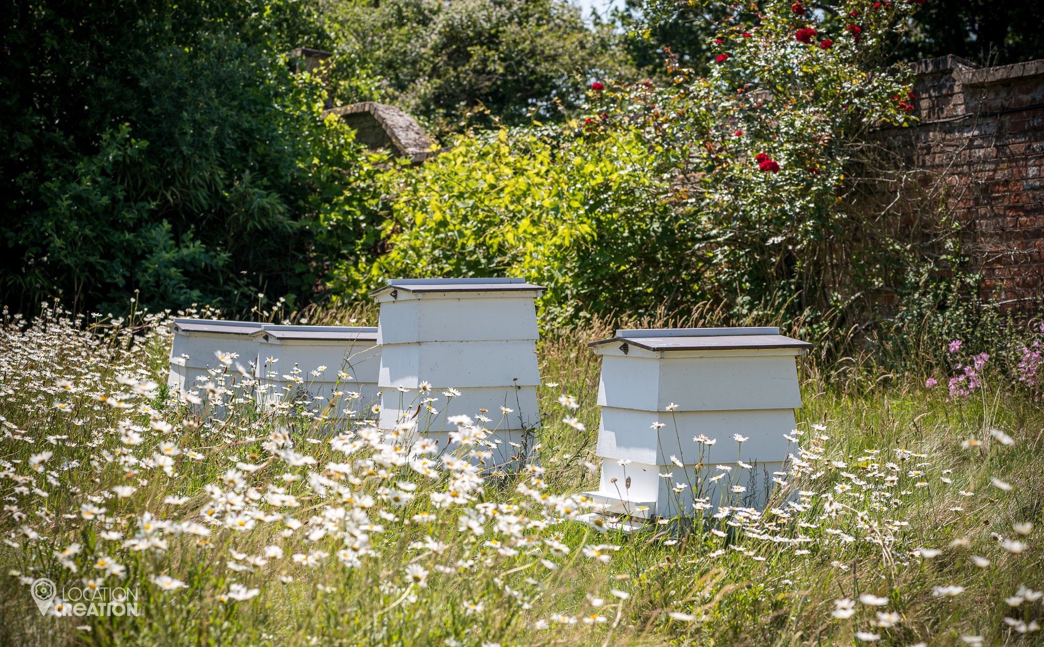 The Walled Gardenbeehives