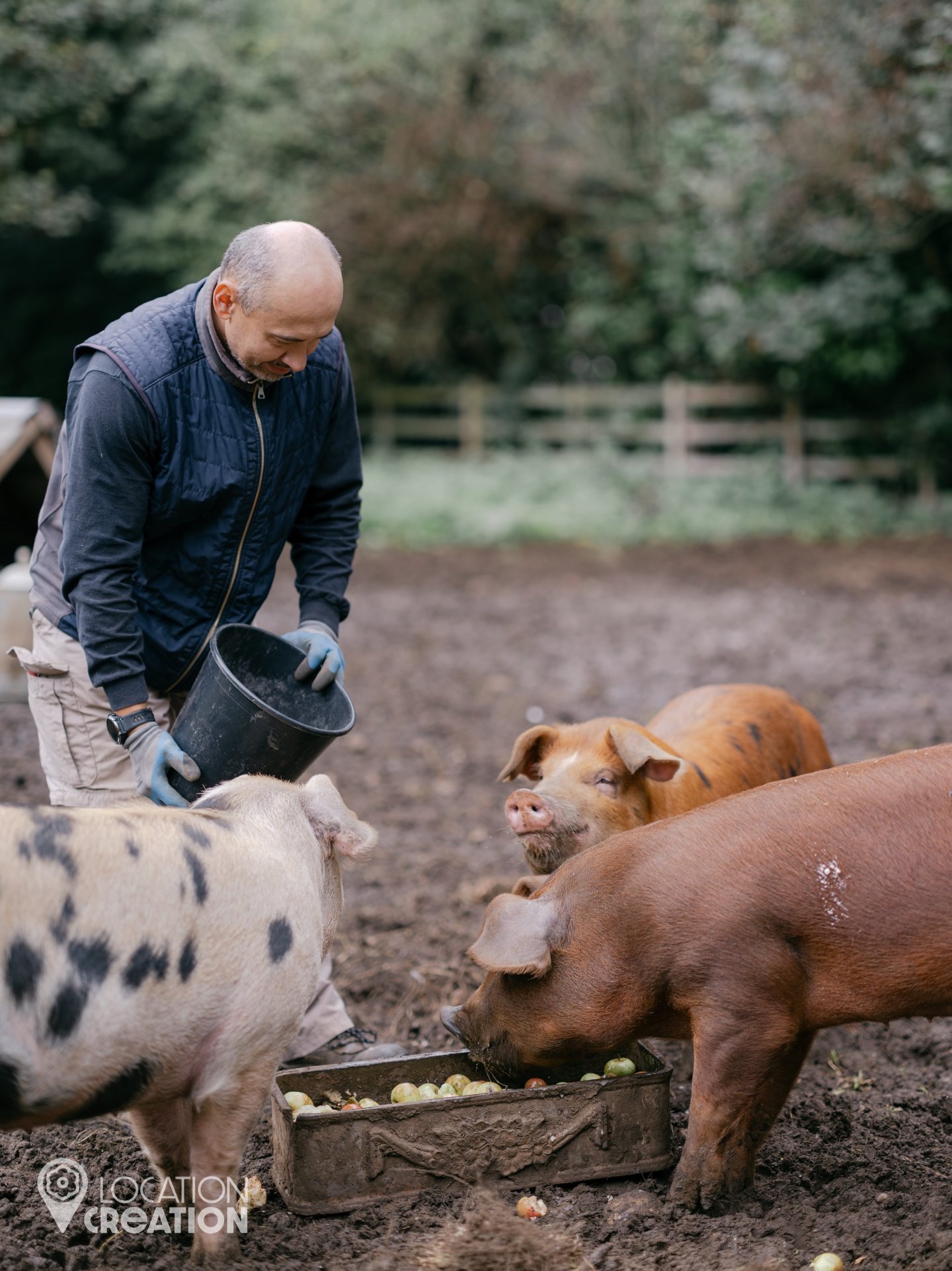 Location CreationKeythorpe Hallpigs