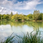 Location CreationEssex BarnLake