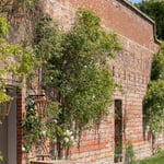 The Walled Gardengarden