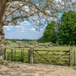 Location Creation Kirby Farm Garden