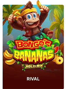 Bongo's Bananas