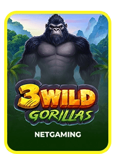 3 Wild Gorillas