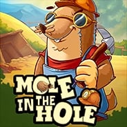 Mole in the Hole