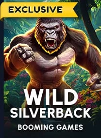 Wild Silverback