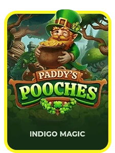 Paddy's Pooches