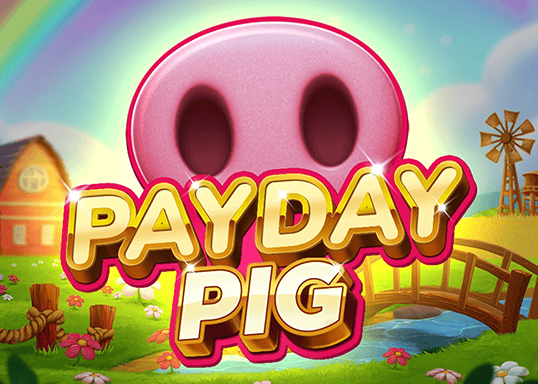 Payday Pig