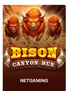 Bison - Canyon Run