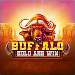 Buffalo Hold and Win