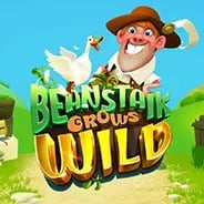 Beanstalk Grows Wild