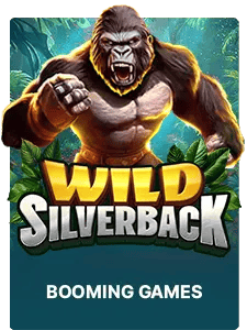 Wild Silverback
