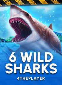 6 Wild Sharks