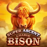 Super Ascent Charge Bison