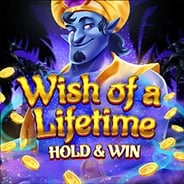 Wish of a Lifetime Hold & Win