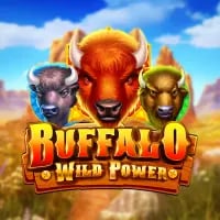 Buffalo - The Wild Power