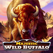 Majestic Wild Buffalo