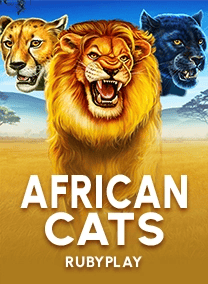 African Cats