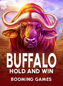 Buffalo Hold and Win
