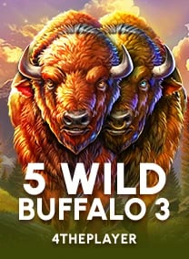 5 Wild Buffalo 3