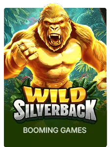 Wild Silverback