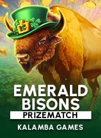 game info