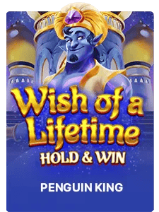 Wish of a Lifetime Hold & Win