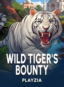 game info