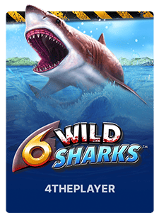 6 Wild Sharks