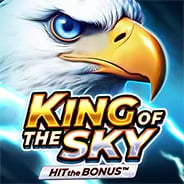 King of the Sky: Hit the Bonus game thumbnail