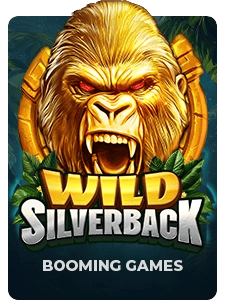 Wild Silverback