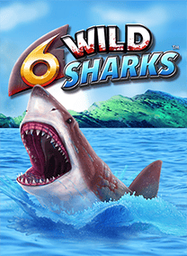 6 Wild Sharks