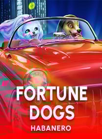 Fortune Dogs