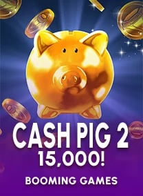 Cash Pig 2 15,000