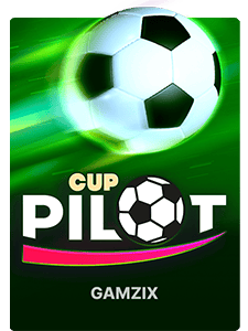 Pilot Cup