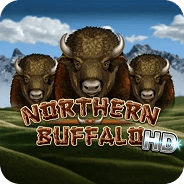 Northern Buffalo HD