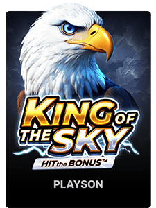King of the Sky: Hit the Bonus
