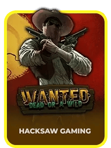 Wanted Dead Or A Wild