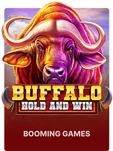 Buffalo Hold and Win