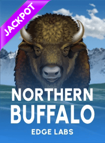 Northern Buffalo JP