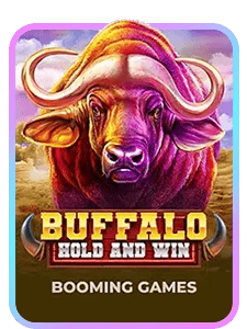 Buffalo Hold and Win