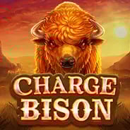 Charge Bison