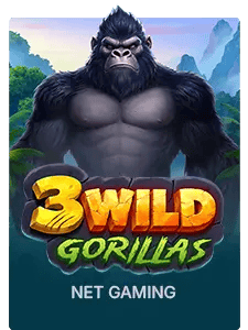 3 Wild Gorillas