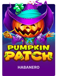 Pumpkin Patch